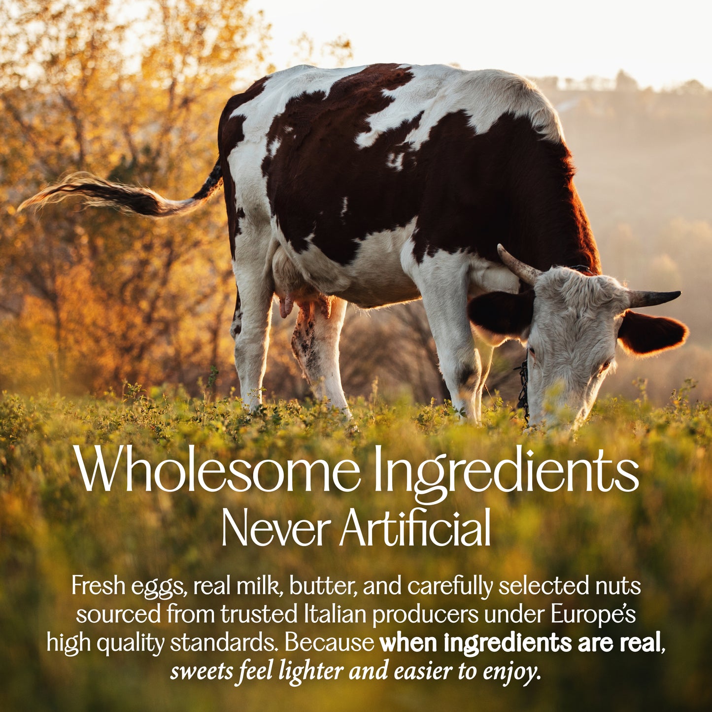 ITALIAN BUTTER COOKIES WITH PLUM AND CHERRY JELLY - PASTICCERIA DUO